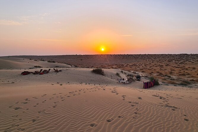 Overnight Camel Safari: Non-Touristic, Sleep Under the Stars! - Sleep Under the Starlit Sky
