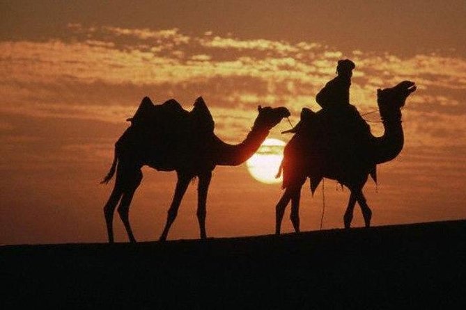 Overnight Camping With Camel Safari In Jaisalmer - Safari Itinerary