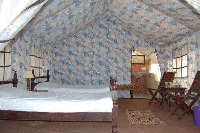 Overnight Stay In Swiss Tent With Camel Safari & Folk Dance - Reviews Summary