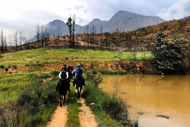 Paarl Horseback Riding Tour  - Stellenbosch - Overview