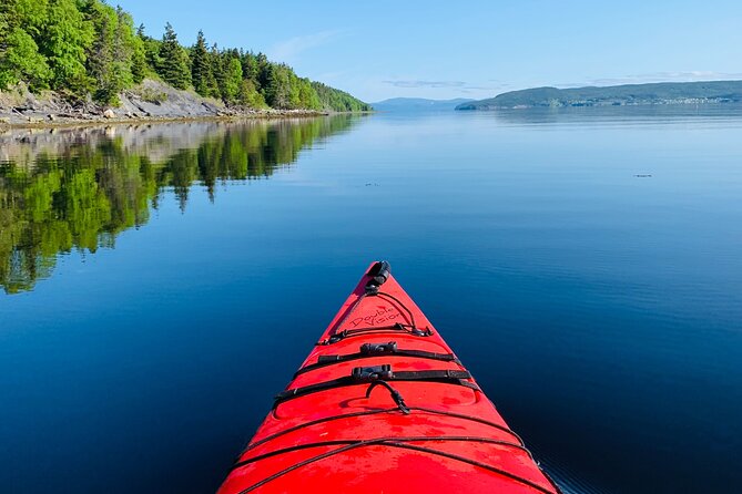 Paddle the Bay of Islands: 2 Hours Guided Kayak Experience - Experience Confirmation and Accessibility
