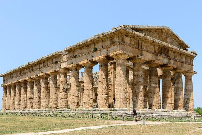 Paestum and Mozzarella Farm Experience - Farm Visit Details