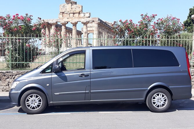 Paestum Park and Bufalo Farm Day Tour From Sorrento - Itinerary Highlights