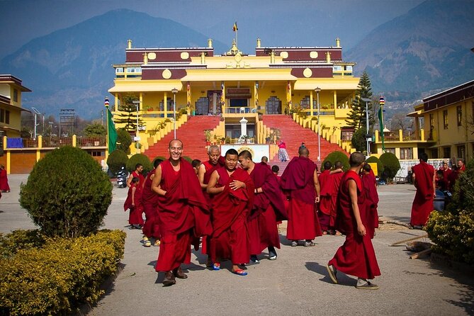 Palampur Gopalpur Cultural Heritage Tour (Feb ) - Reviews
