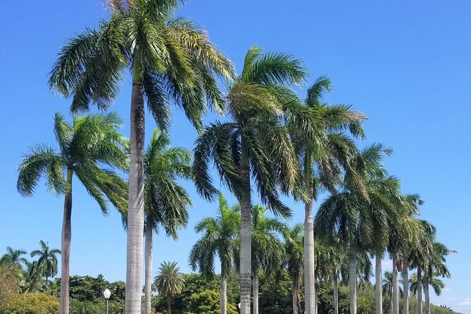 Palm Beach Tour From Miami - Flaglers Museum Hotel Breakers - Meeting and Pickup Details