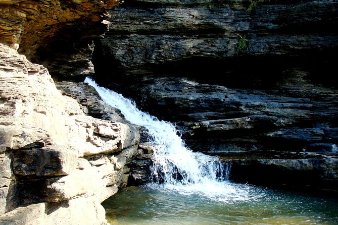 Panna Tiger Reserve Tour From Khajuraho - Wildlife Encounters