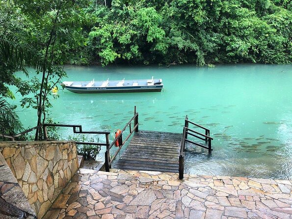 Pantanal & Bonito - Private Multi Day Tour - Itinerary