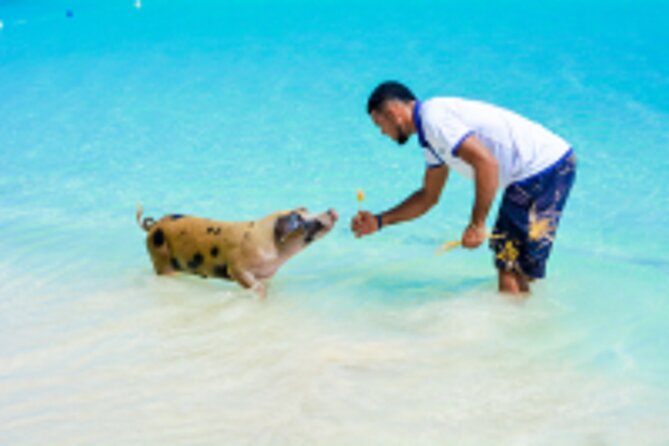Paradise and Pigs Full Day Excursion From Puerto Plata With Lunch - Lunch Inclusions