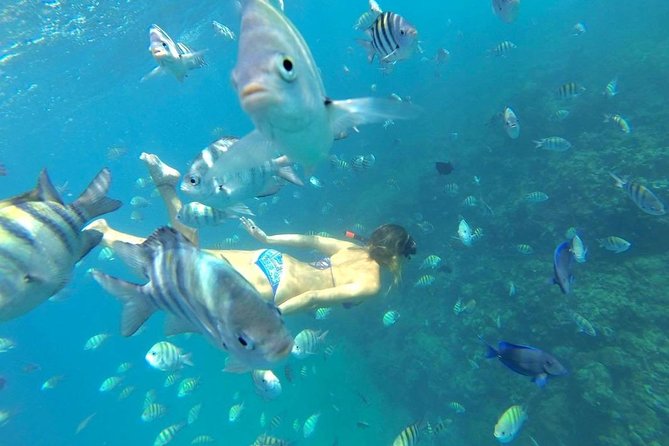 Paradise Island Puerto Plata - Pricing