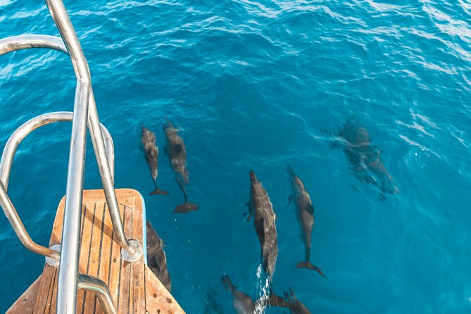 Pearls Island - Traveler Insights and Reviews