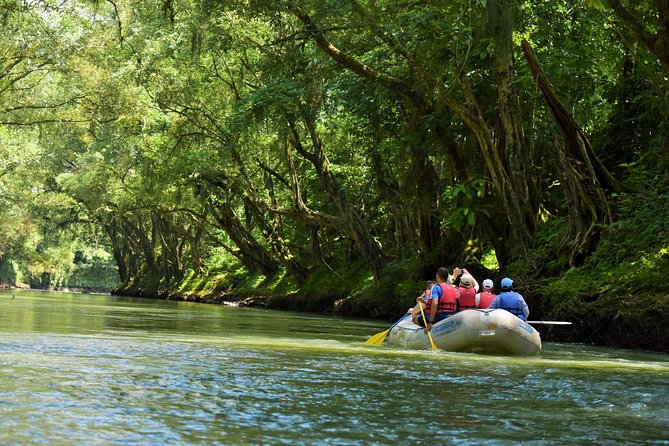 Peñas Blancas River Safari Float From La Fortuna - Wildlife Observations