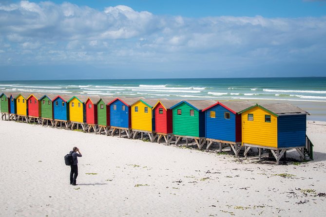 Peninsula Photography Tour - Reviews