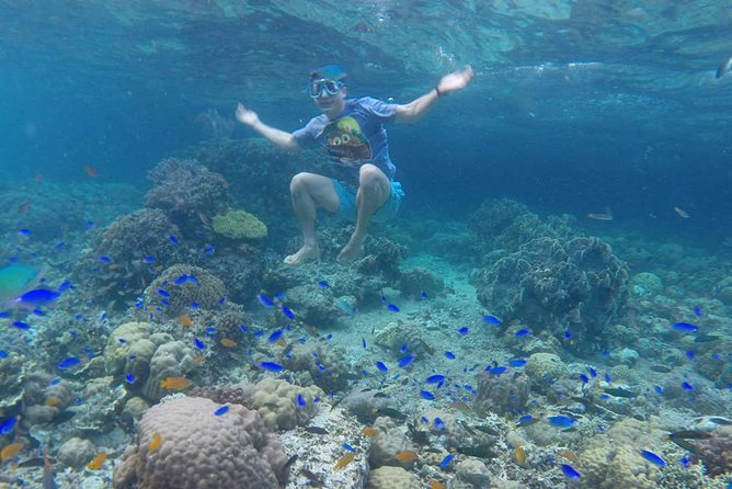Pescador Island With Sardines & Turtle and Kawasan Canyoneering - Pescador Island Exploration