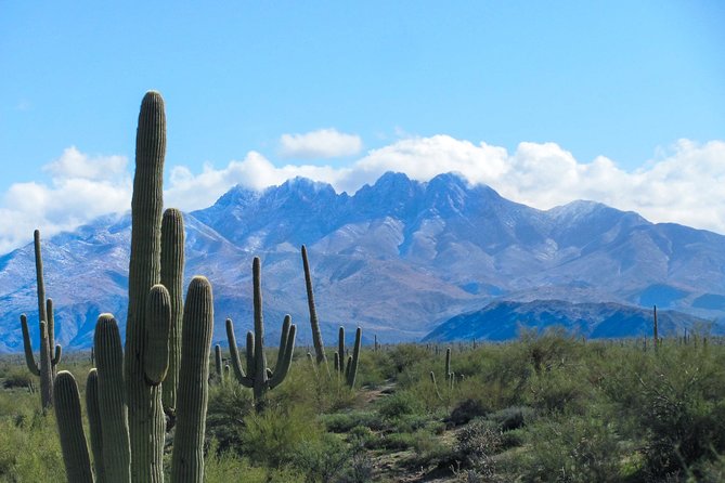 Phoenix Hiking Tours - Transportation Services