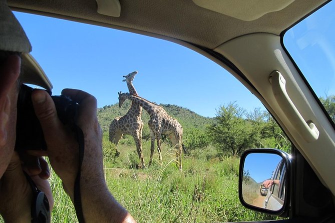 Pilanesberg Game Reserve 6 Hour Sunrise Safari From Johannesburg or Pretoria - Tour Duration and Inclusions