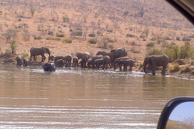 Pilanesberg National Park Day Tour From Pretoria, Every SATURDAY - Cancellation Policy and Refunds
