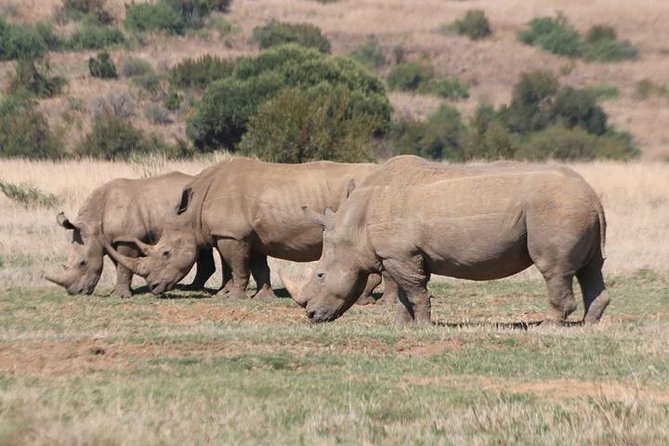 Pilanesberg Nature Reserve - Inclusions