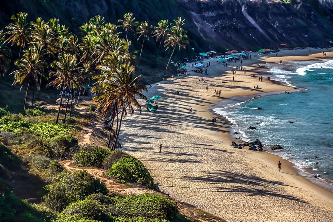 Pipa Beach Day Tour From Natal - Tour Overview