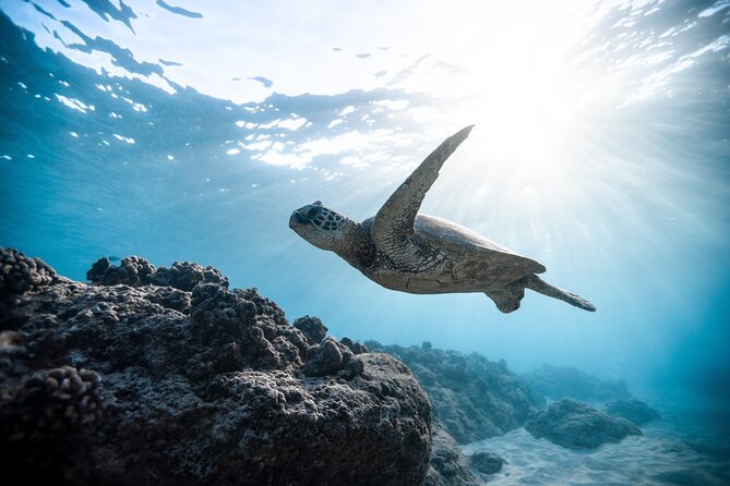 Playa Venao: Island Snorkeling Tour - Safety Guidelines