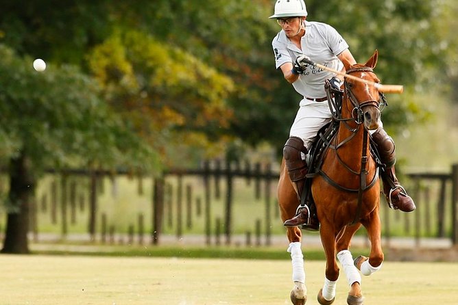 Polo Lessons From Buenos Aires by Polo Elite - Learn Polo Basics With Professional Instruction