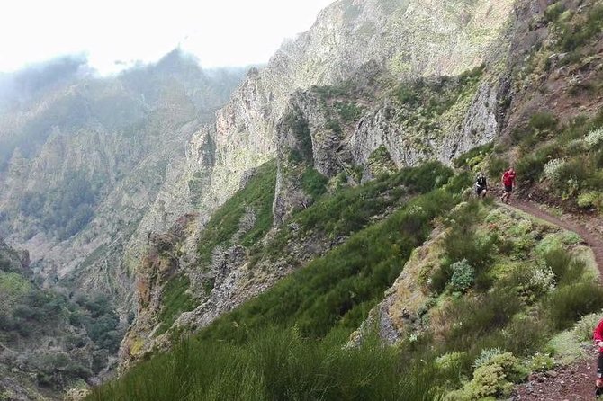 Ponta De Sao Lourenco Private Hike From Funchal - Booking and Reservation