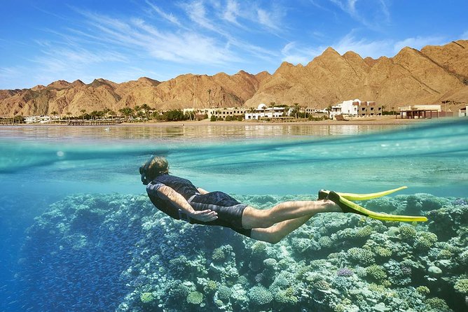 Port Ghalib Day Snorkeling Excursion - Reviews and Ratings Overview