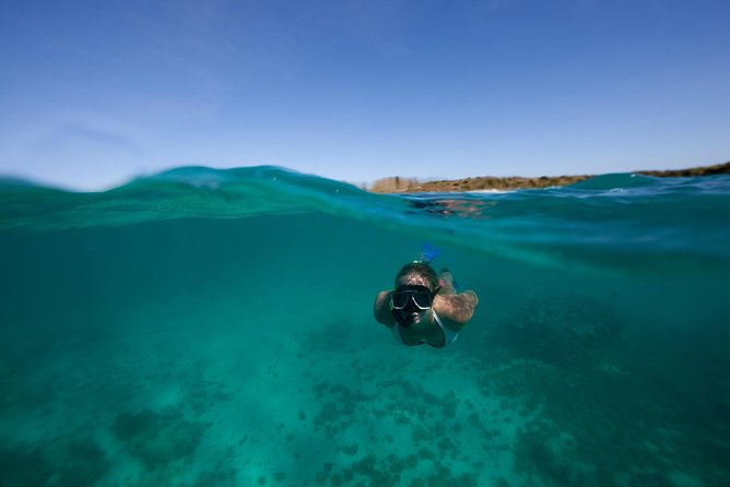 Power 360 Sightseeing and Snorkel Cruise Antigua - Snorkeling Opportunities and Marine Life