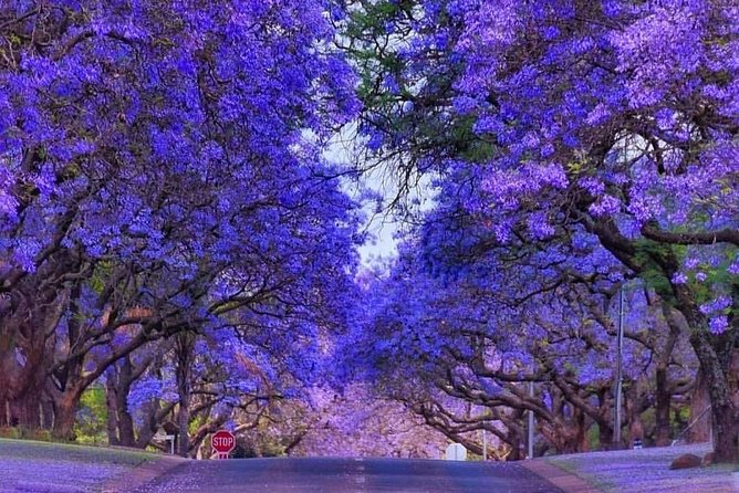 Pretoria City Tour - Private Guide With Historical Insights