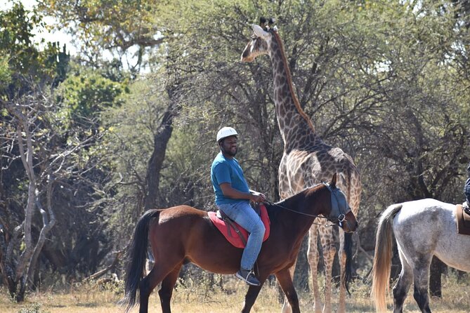 Pretoria Private Half-Day Horseback Riding Safari - Cancellation Policy