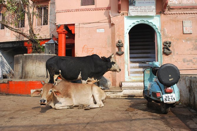 Private 2-4 Hour Walking Tour: Highlights of Varanasi (Feb ) - Cultural Sites Visit