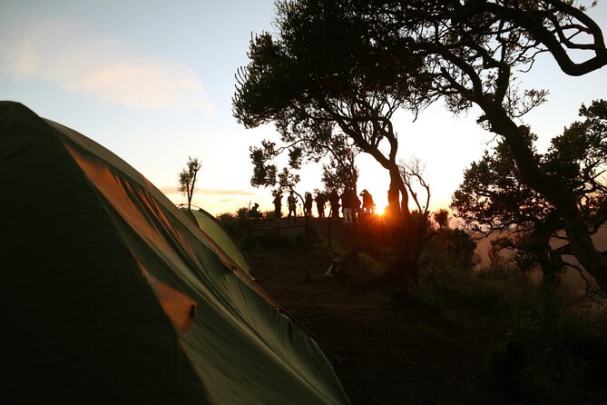 Private 2-Day Camping Trip With Volcano Climb, Bromo  - Malang - Meeting and Pickup