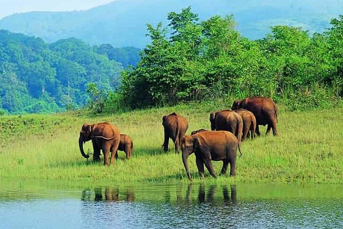 Private 2-Day Tour From Bangalore to Mudumalai National Park (Feb ) - Inclusions and Exclusions
