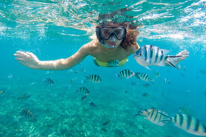 Private 2-Hour Tour in Nassau - Tour Highlights