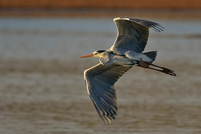 Private 5-Day Overnight Safari in Kruger Park From Skukuza Airport - Inclusions