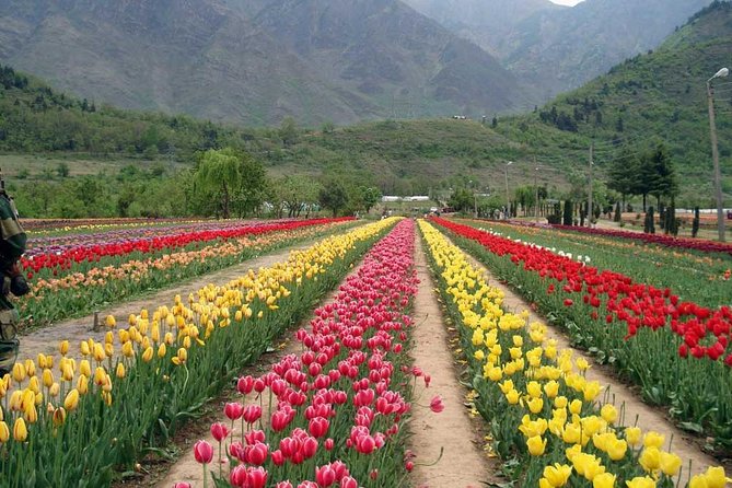 Private 6 Days Splendid Kashmir Tour - Daily Itinerary Highlights