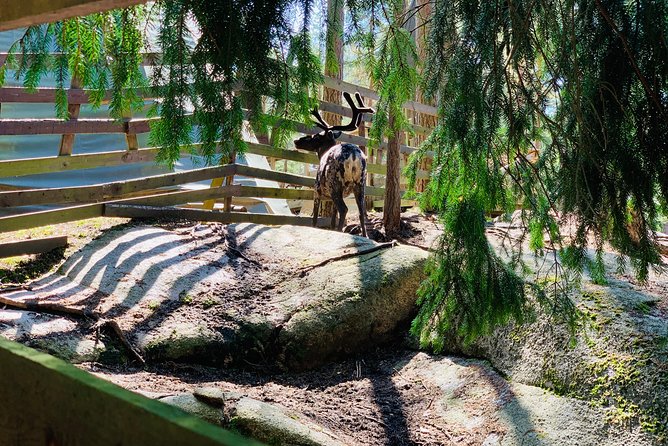 PRIVATE Adventure To The REINDEER Park by VIP Car - Private Vehicle Transportation