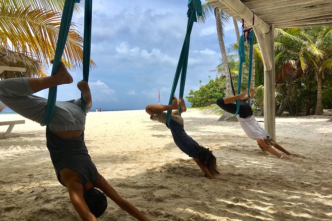 Private Aerial Yoga Class - What to Expect in the Class