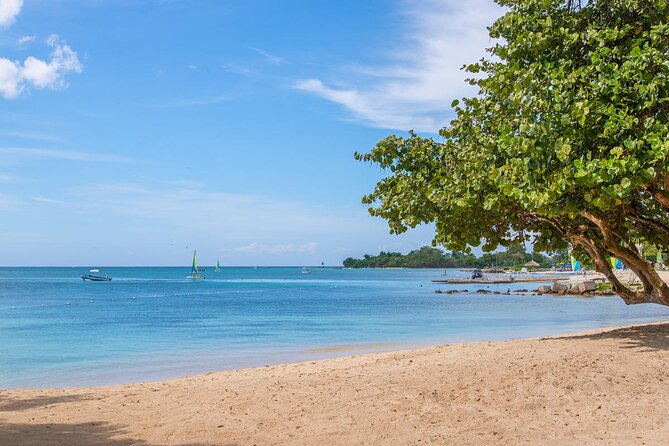 Private Airport Transfer to Hedonism Ll Resort - Good To Know