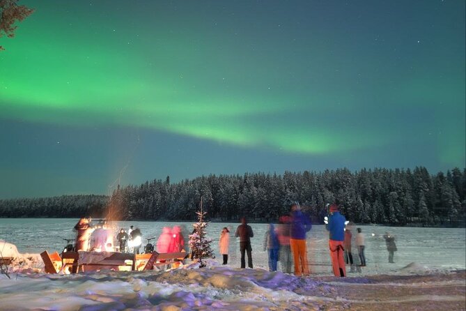PRIVATE Aurora Tour in Rovaniemi by Car and Snow Scooters - Guides Expertise