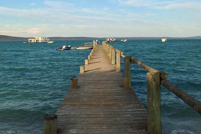 Private Cape Towns West Coastal Tour With Quad Bike - Reviews and Ratings