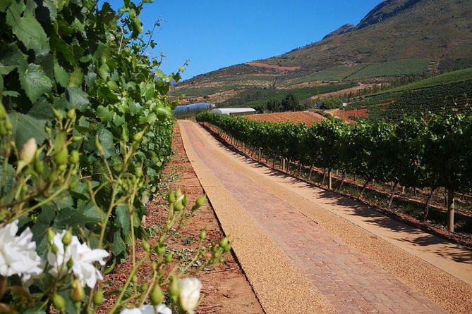 Private Cape Winelands From Stellenbosch or Franschhoek or Paarl - Explore Franschhoeks Wine Heritage