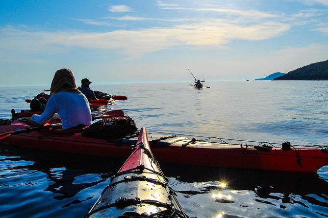 Private Catania Kayak Tour: River or Sea  - Sicily - Transportation Options