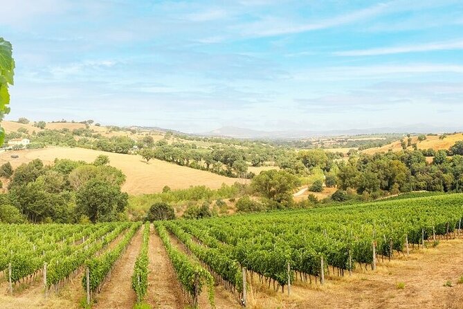 Private Chianti Winery Tour From Livorno With Pick up and Drop off - Pickup Location