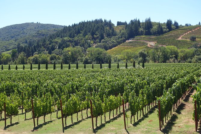 Private, Customized Sonoma Valley Wine Tour - Custom Winery Selection