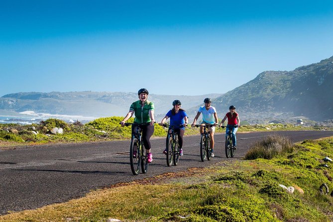 Private Cycling Tour of the Cape Peninsula From Cape Town - Reviews and Ratings
