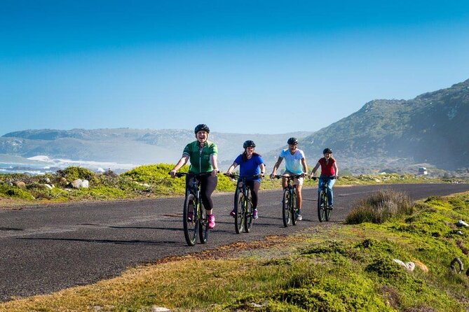 Private Cycling Tour to Cape Point From Cape Town - Cancellation Policy