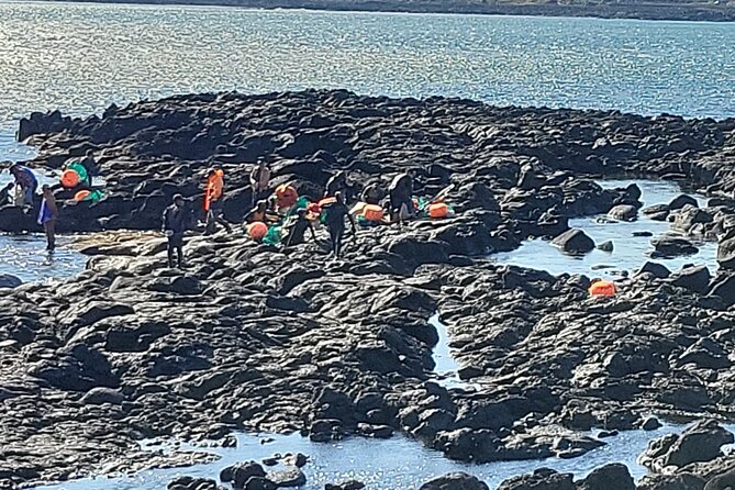 Private Day Jumbo Taxi Tour Experienced Driver in Jeju Island - Good To Know