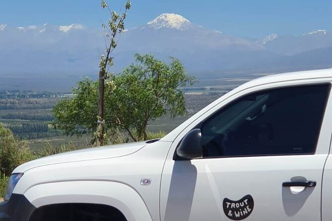 Private Day Trip: Mendoza Wine Tasting With Lunch  - Mendoza Province - Booking and Cancellation Policy