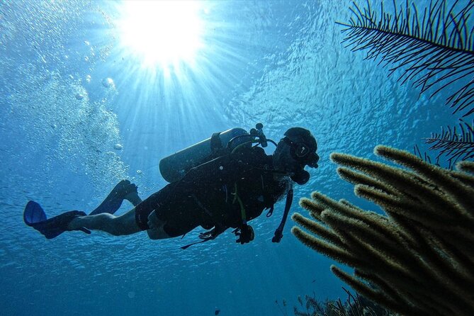 Private Diving Experience for Beginners in San Andres Islands - Booking Confirmation and Accessibility