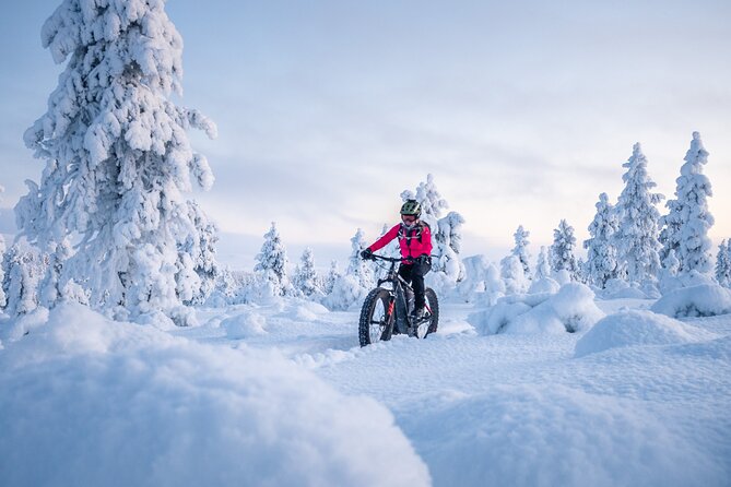 Private Electric Fat Bike Tour in Saariselkä - Meeting and Pickup